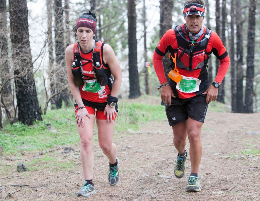 TransGC2015_ILS (310)