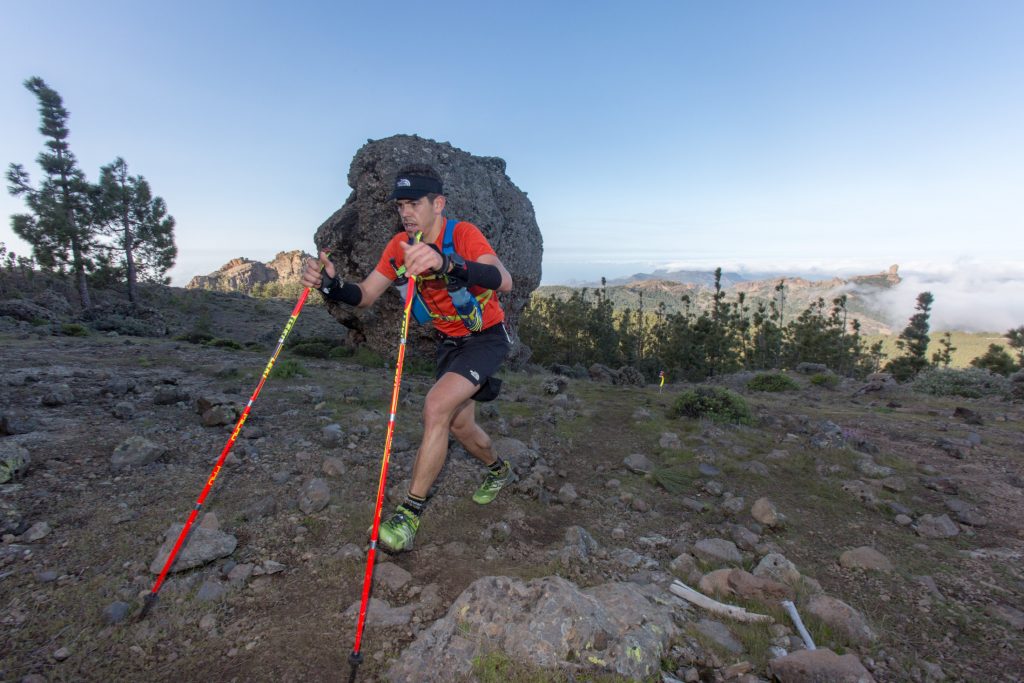 transgc2017_ils-1