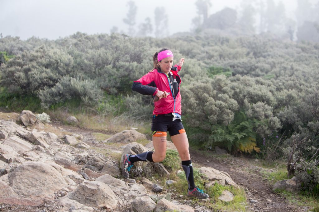 transgc2017_ils-17