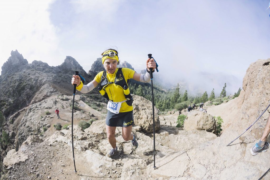 transgc_2017-138