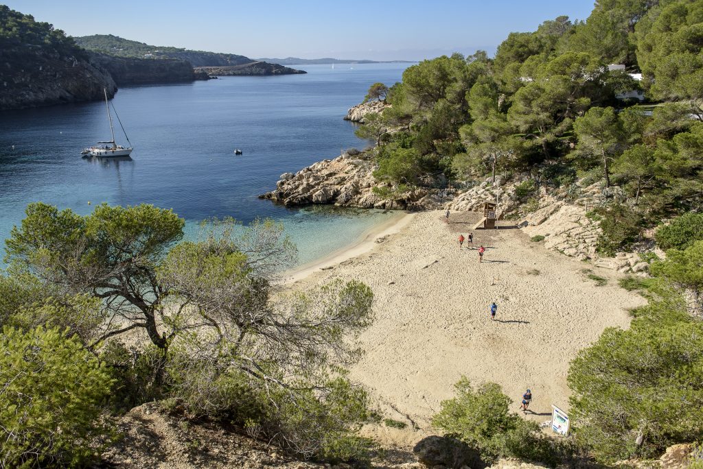 ibiza-trail-maraton_128_jon-izeta_alta